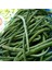 Sırık Karnıkara Börülce Tohumu (1 Kg) 1
