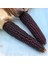 Ata Tohum Geleneksel Japonica Striped Mısır Tohumu(10 Tohum) 1