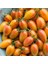 Blush Cherry Domates Tohumu (15 Tohum) 2