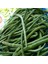 Sırık Karnıkara Börülce Tohumu (1 Kg) 1