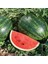 Geleneksel Tohumlar Galaktica Etli Sulu Karpuz Tohumu(10 Tohum) 1