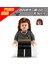 Pingao PG8010 Harry Potter ve Felsefe Taşı Serisi Bebek Oyuncak Bebek Yapı Taşları Harry Potter Voldemort Ron (Yurt Dışından) 4