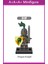 Minifigures X0148 Ortaçağ Şövalyesi Reloaded Dragon Knight Yapı Taşları Oyuncaklar (Yurt Dışından) 4