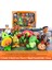 Plants Vs Zombies Oyuncakları Komple Anime Model Seti (Yurt Dışından) 1