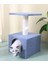 Stepli Yuvalı Kedi Tırmalaması 2
