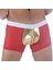 DM291106 Alımlı Taraftar Boxer 1