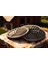 Ylndesign Wood&craft - Tropikal Esintilerle Sofralarınıza Ferahlık Katın Lazer Kesim Ahşap Palmiye Yaprağı Bardak Altlığı 3