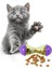 İnteraktif Kedi Ödül Mamalı Oyuncak 5