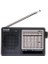 R9012 Transistörlü 12 Bandlı Kısa Dalga Analog Radyo (Yurt Dışından) 1