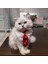Kedi Köpek için Ayarlanabilir Kırmızı Kravat 2