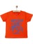 Basic Erkek Sörf Baskılı T-Shirt Erkek Bebek 3