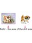 Dıy 5d Elmas Boyama Kitleri Köpek 2 (Yurt Dışından) 4