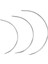 C Tip Neddle 4 Pc (Yurt Dışından) 2