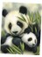 Dıy 5d Hayvan Elmas Resim Nakış Çapraz Dikiş Kiti Ev Dekor Panda (Yurt Dışından) 4