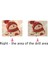 Tam Noel Snowman Diy 5d Elmas Resim Kristal Rhinestone Elmas Nakış Resimleri Resimler Kiti (Yurt Dışından) 3
