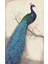 Peacock Diy 5d Elmas Resim Nakış Çapraz Dikiş Kiti Ev Dekoru A (Yurt Dışından) 2