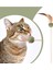 Tüylü Catnipli Kedi Oyun Oltası, Kedi Naneli 1