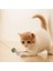 Tüylü Catnipli Kedi Oyun Oltası, Kedi Naneli 2