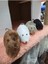 Kurmalı Fare Kedi Oyuncağı Peluş Yaratıcı Oyuncak 4