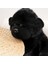 30CM Orangutan Büyük Savaş Peluş Bebek (Yurt Dışından) 2