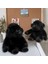 30CM Orangutan Büyük Savaş Peluş Bebek (Yurt Dışından) 4