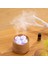 200ML Uçucu Yağ Difüzör USB Sevimli Vapur Topuz Şekli Nemlendirici Aroma Yayıcı Gece Lambası Ev Küçük Ev Aletleri Kahverengi (Yurt Dışından) 4