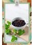 Mint Bean Coffee 200 gr, Nane Aromalı Çekirdek Kahve 3