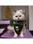 Kedi Köpek için Ayarlanabilir, Üçgen ve Yeşil Yılbaşı Bandanası 2