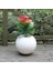 Fiber Saksı Beyaz Küre Yuvarlak Top Vazo Dekoratif Saksı Fiberglas 25 x 25 cm 2