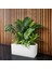 Fiber Saksı Beyaz Küre Yuvarlak Top Vazo Dekoratif Saksı Fiberglas 25 x 25 cm 3