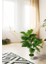 Yapay Çiçek Areka Palmiye Ağacı 85 cm 2dal Salon Çiçeği Beyaz Saksılı Yapay Bitki 3