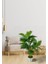 Yapay Çiçek Areka Palmiye Ağacı 85 cm 2dal Salon Çiçeği Beyaz Saksılı Yapay Bitki 4