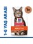 Science Plan Hill's Adult Kuzu Etli Yetişkin Kedi Maması 3 kg 1