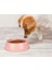 Büro Ev Evcil Hayvanı İçin Mini Oval Kedi Köpek Mama Kabı 1