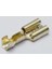 Tsf-1-D 6,3 Faston Tip Terminal İzolesiz 100 Adet Paket 1