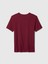 Erkek Çocuk Bordo Gap Logo Grafikli T-Shirt 3