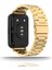 Digizone Huawei Watch Fit 2 Uyumlu Klasik Paslanmaz Çelik Kordon 2