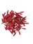 Telli Berry 100 Adet 1