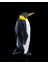 3D Puzzle Penguen 2