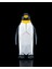 3D Puzzle Penguen 3