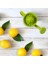 Bahçıvan Limon Sıkacağı - Hazneli Narenciye Sıkacağı 1