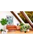 Bohem,yoga, Meditasyon,burçlar ve Mandala Temalı, Duvar Örtüsü 96 5