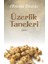 Üzerlik Taneleri - Abuzer Demir 1