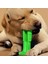 Köpek Diş Temizleyici ve Kaşıyıcı Sağlıklı Küçük Boy Oyuncak (4767) - MCT3234-9724 1