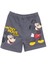 Mickey Mouse Erkek Şort Erkek Bebek 1
