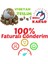 Kokulu Red Beauty Kırmızı Yediveren Sarmaşık Gül Tohumu (5 Tohum) 5