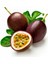 Passiflora Edulis Maruçya Tohumu (50 Adet) 3