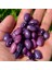 Geleneksel Purple Sırık Fasulye Tohumu (10 Tohum) 1