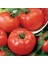 Ata Tohumları 2121 Etli Oturak Domates Tohumu (50 Tohum) 1