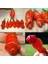 Gerçek Doğal Peter's Pepper(Biber) Tohumu(4 Tohum) 1